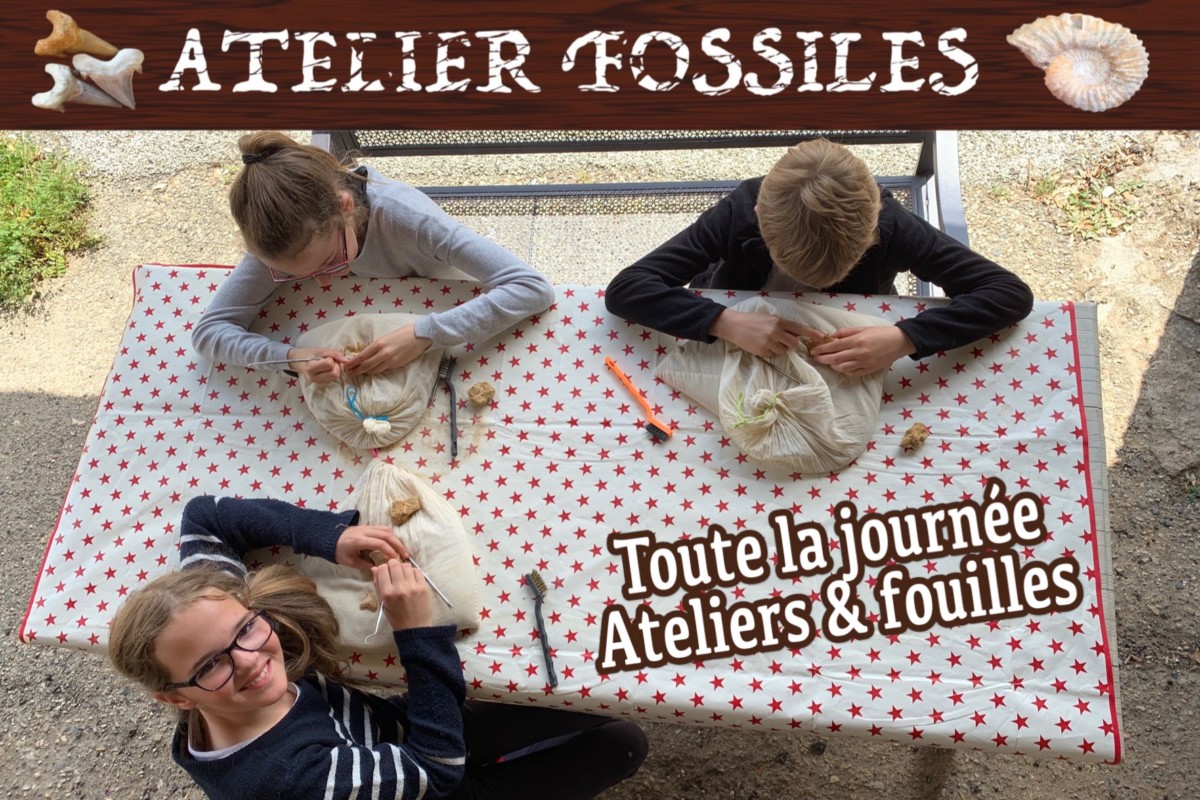 Atelier fossiles à la Grotte Aven Forestière en Ardèche