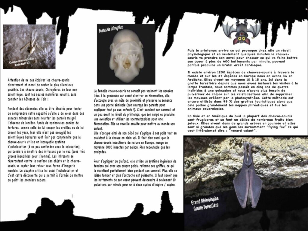 Panneau chauve souris à la Grotte Aven Forestière en Ardèche