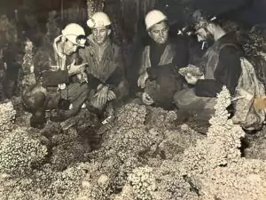 Spéléologue lors de la découverte de la Grotte Aven Forestière