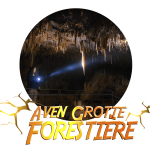 Logo Grotte Aven Forestière