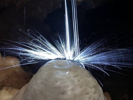Photo de la Grotte Aven Forestière en Ardèche
