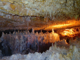 Photo de la Grotte Aven Forestière en Ardèche