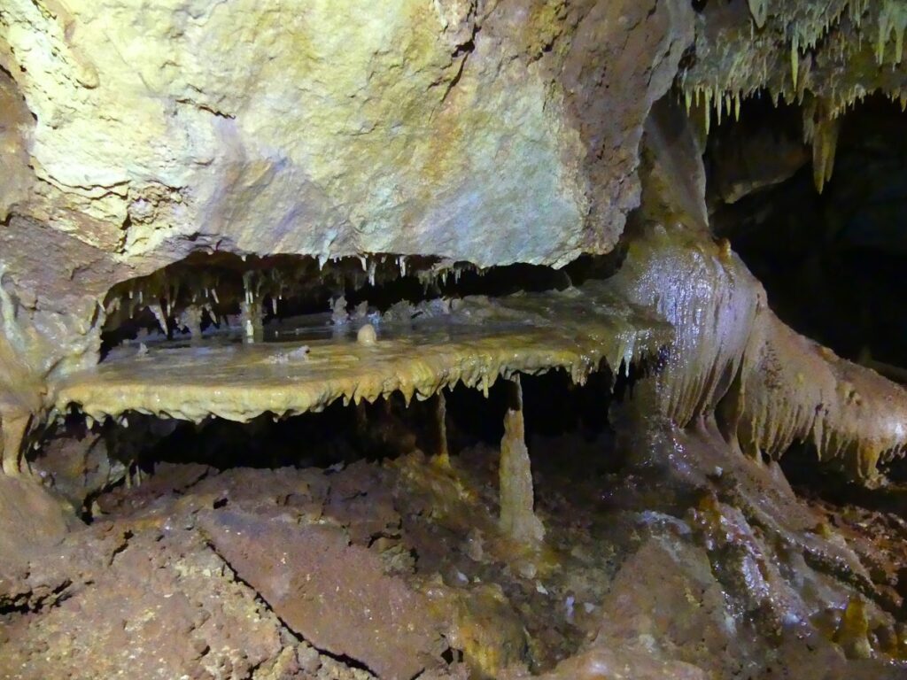 Plancher stalagmitique - Grotte Ardèche