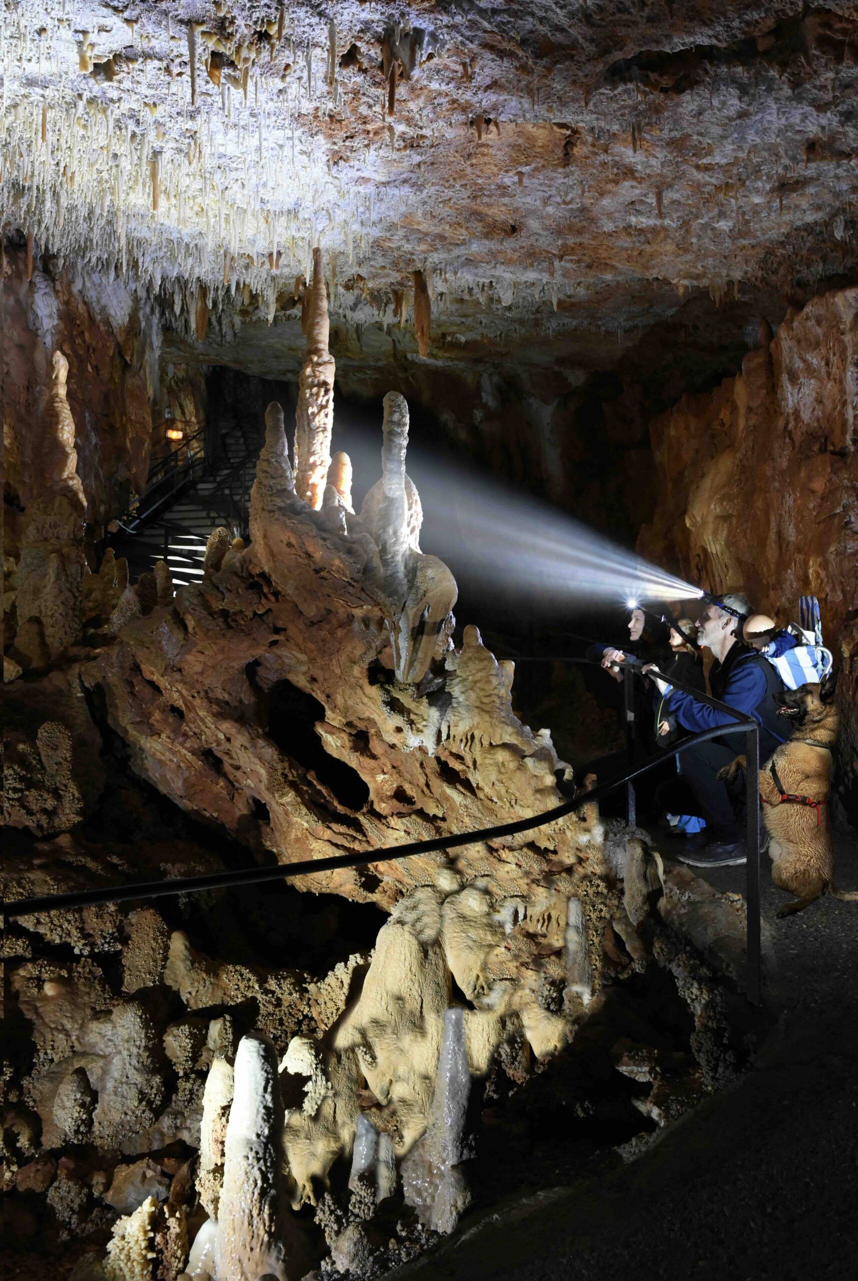 couple en famille avec le chien et faisceau de la frontale