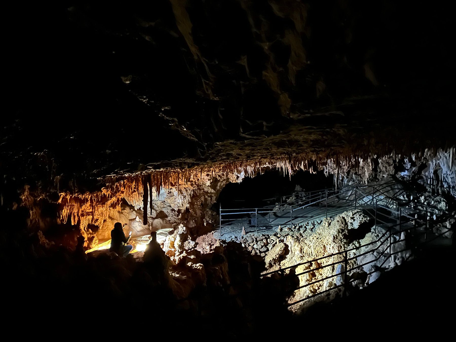 Gours-salle-choux-fleurs-soutirrage-eclaire