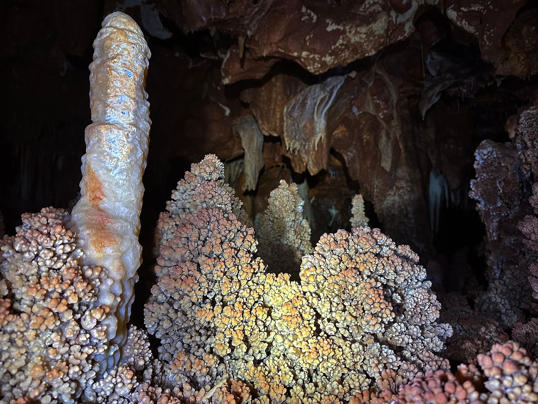 Stalagmite-choux-fleurs