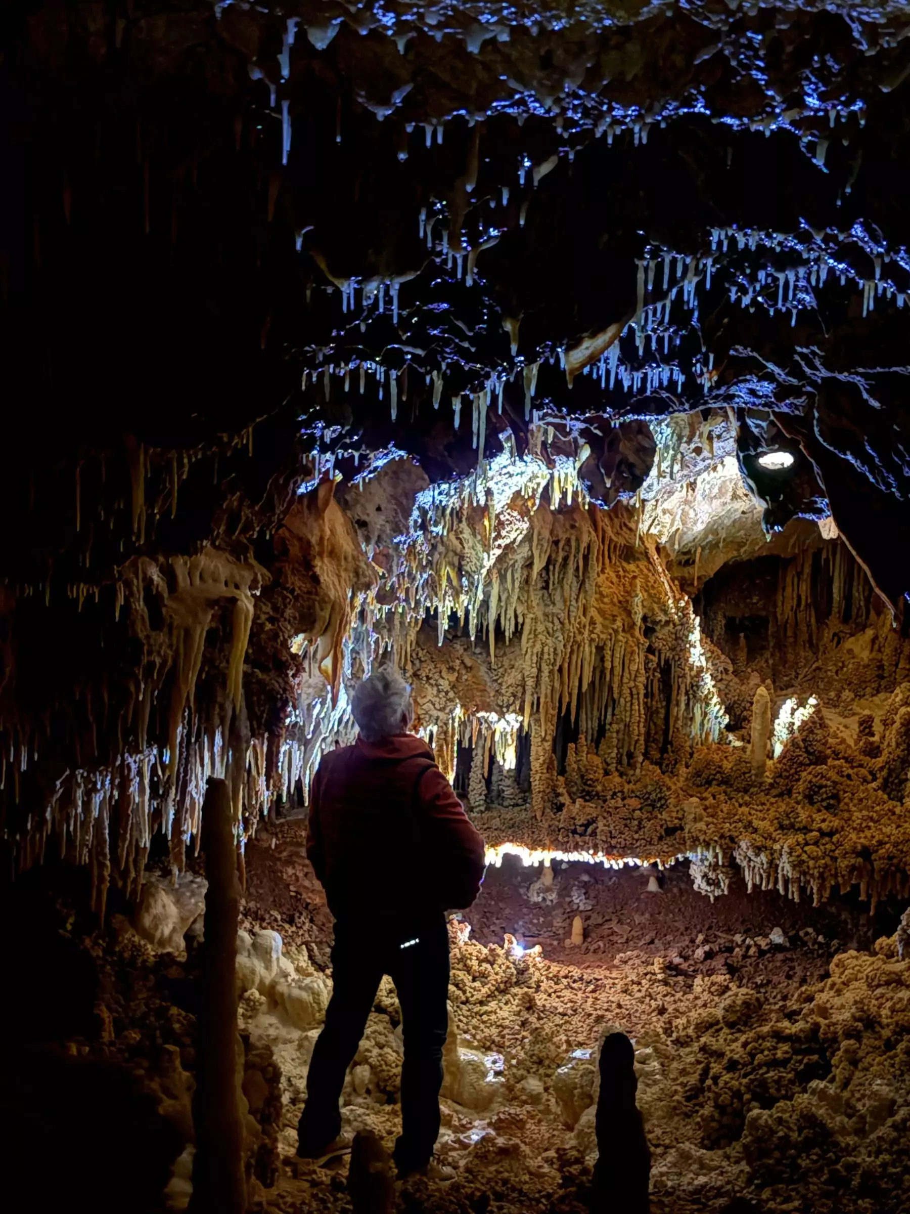 Visitor-cave-stalagmitic floor