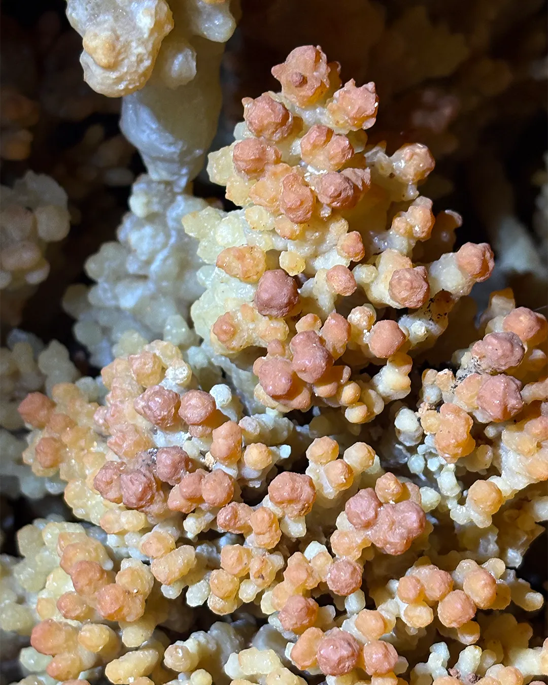 cristaux de choux-fleurs colorés argile