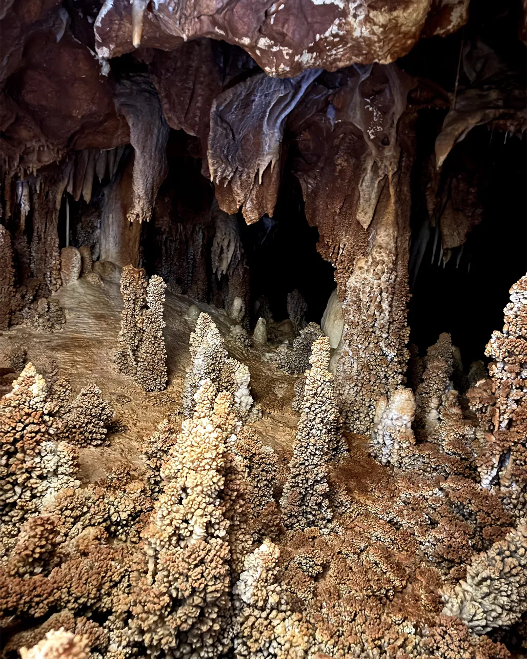 stalagmites en choux-fleurs sur le plancher stalagmitique