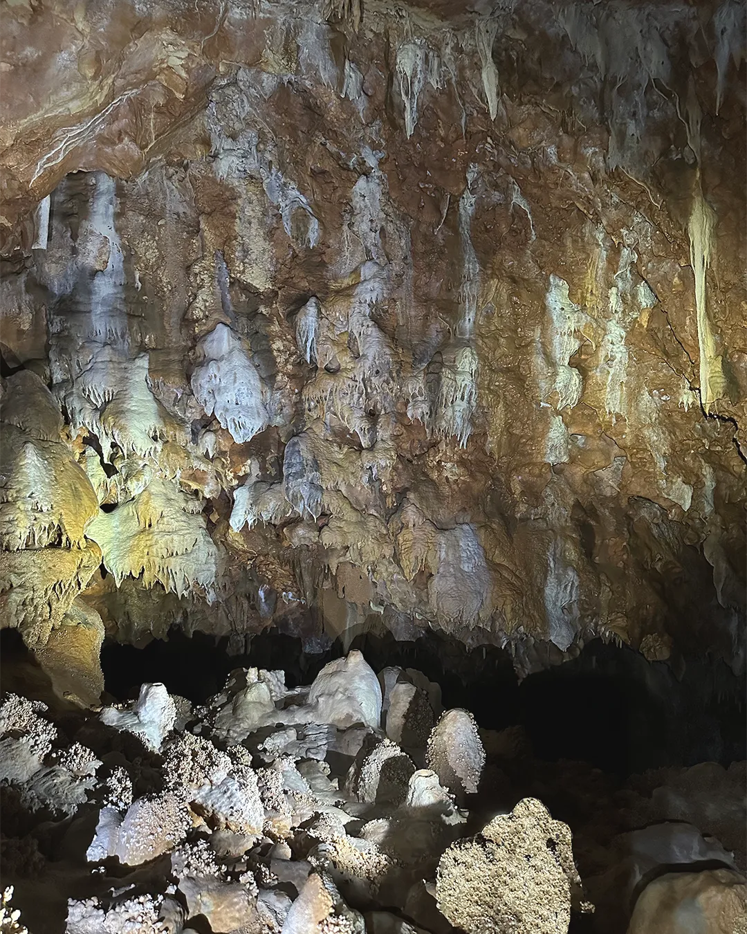 grotte forestière ne face de la grande stalactite