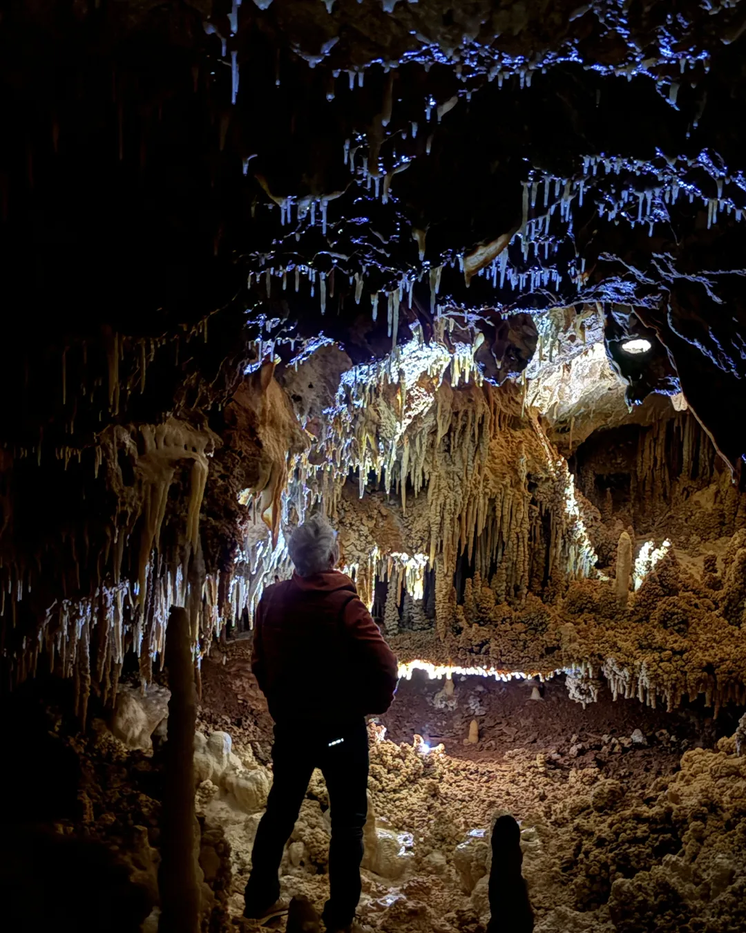 visiteur devant le plancher stalagmitique