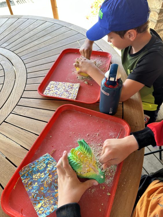 Grotte-aven-forestiere-ateliers-fossiles-mineraux