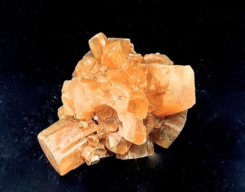 Atelier fossiles / minéreaux / géodes pour toute la famille