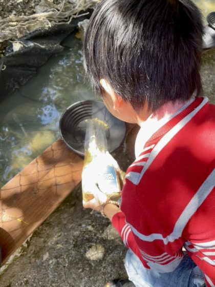 Rivière des petits chasseurs de cristaux