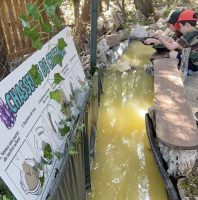 Rivière des petits chasseurs de cristaux